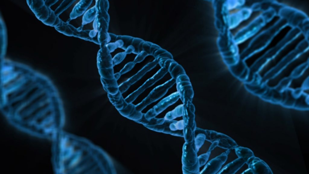 What’s In Your Institution’s DNA?