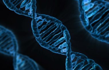 What’s In Your Institution’s DNA?